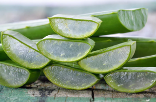 5 Benefits of Aloe That You Should Know Now!