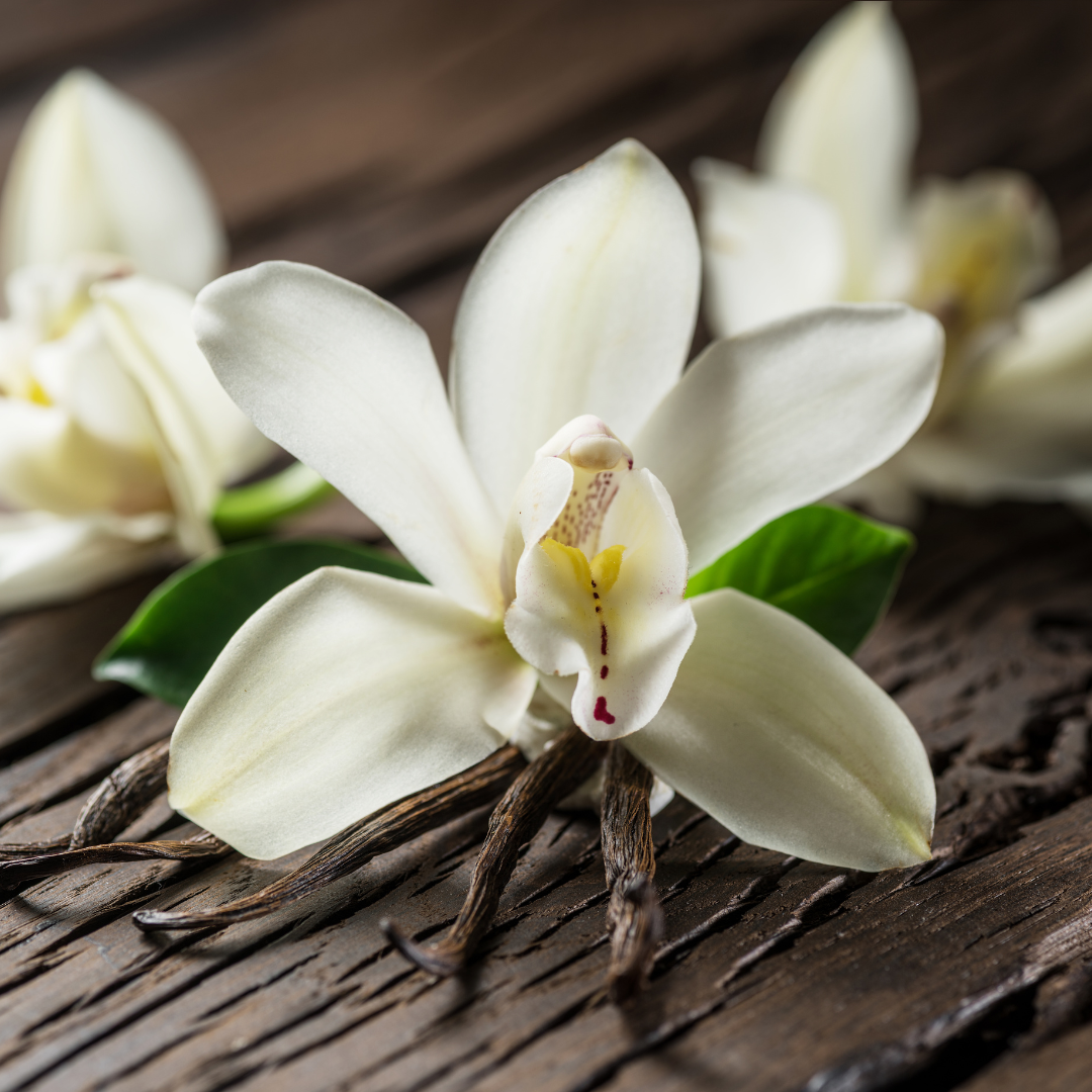 10 Amazing benefits of Vanilla for Skin and Hair