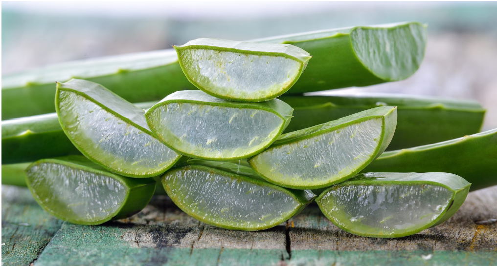 5 Benefits of Aloe That You Should Know Now!
