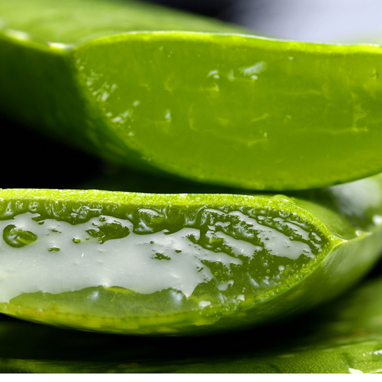 7 Benefits of Aloe for Skin and Hair