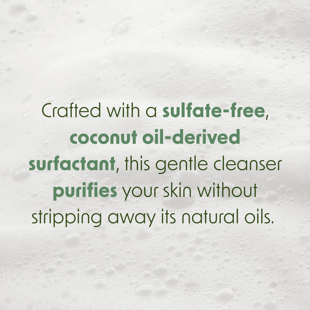 Aloe Vera Leaf Face & Body Bar Soap - 6 Pack